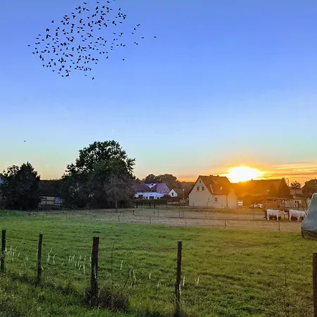 Gelbes Haus Seenland Xl Elsterheide
