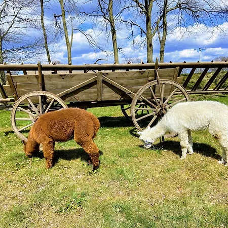 Gelbes Haus Seenland Xl Elsterheide
