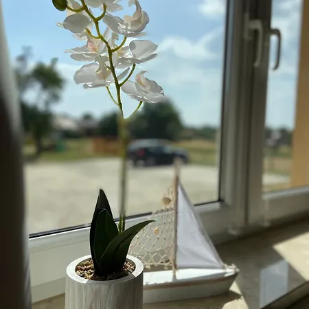 Gelbes Haus Seenland Xl Apartment