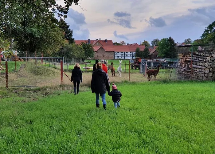 Gelbes Haus Seenland Xl Apartamento *