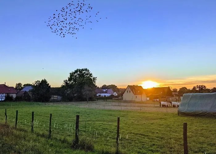 Gelbes Haus Seenland Xl Elsterheide