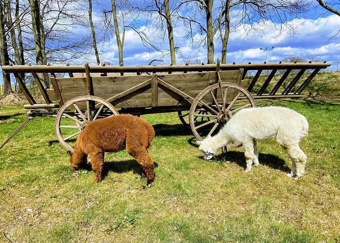 Gelbes Haus Seenland Xl Elsterheide