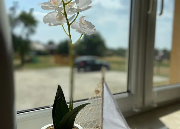 Gelbes Haus Seenland Xl Apartamento