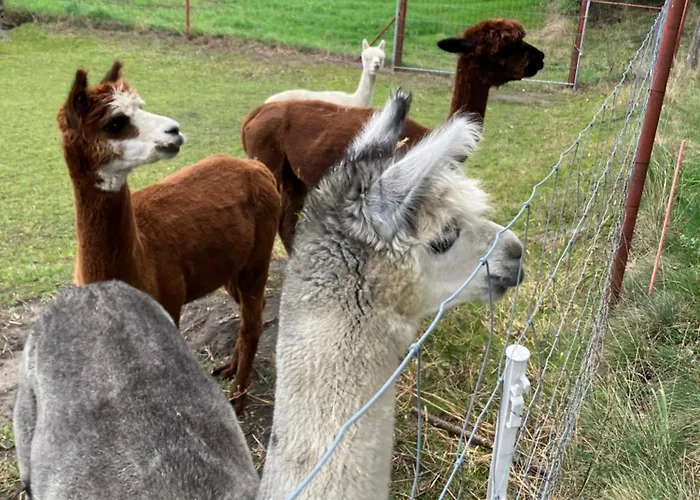 Apartamento Gelbes Haus Seenland Xl