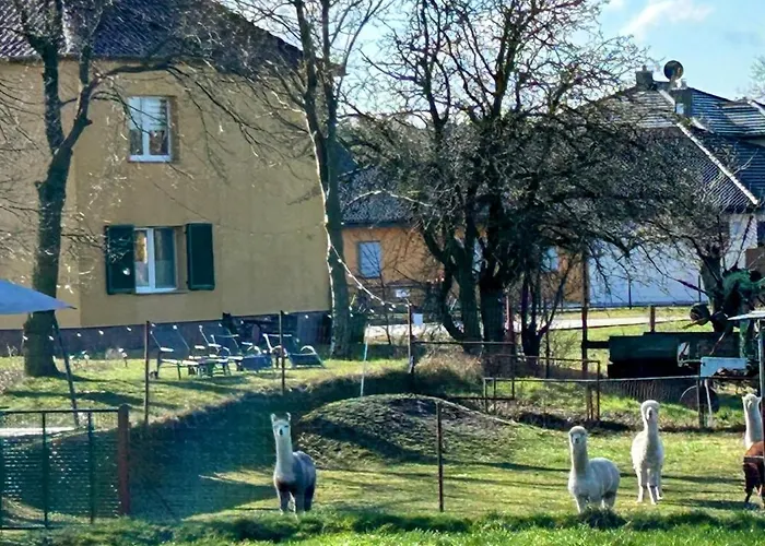 公寓 Gelbes Haus Seenland Xl Elsterheide